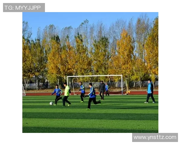 黔东南苗岭足球星耀:助力足球文化传承与区域发展新篇章